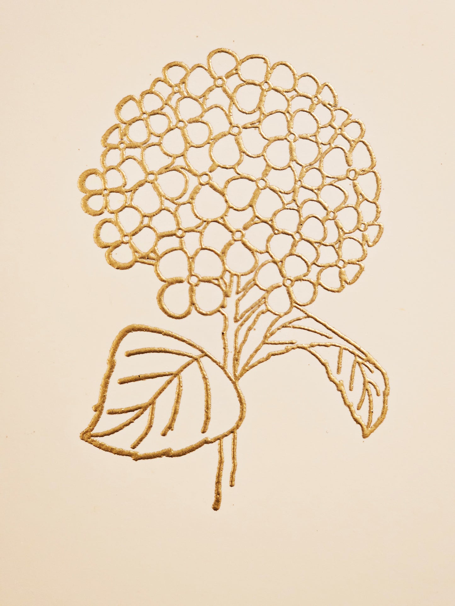 Hydrangea Blossom Cards 5/pk - Gold Embossed