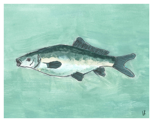 Carp Watercolor Print 8 in x 10 in