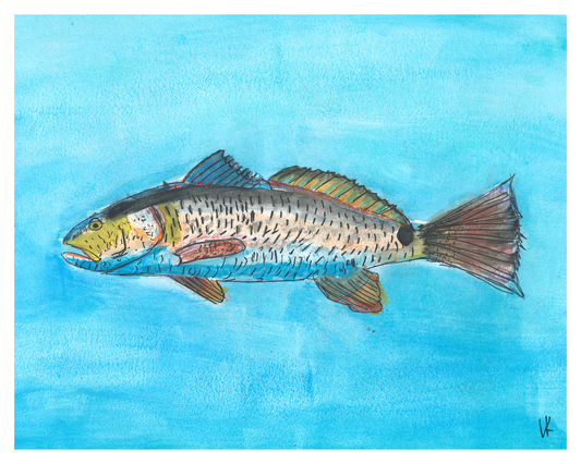 Redfish Watercolor Print 8 in x 10 in